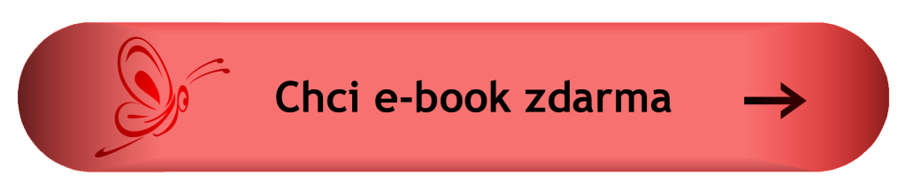 žsž práce-e-book zdarma_1