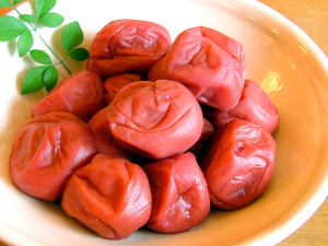 umebosky